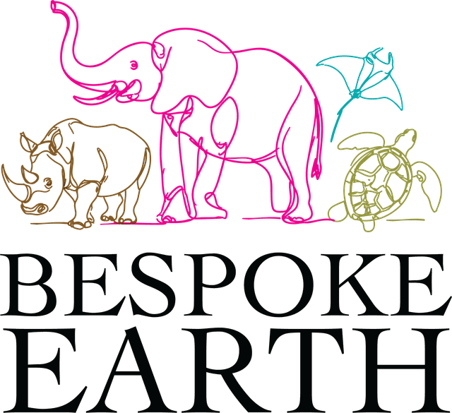 Bespoke Earth logo